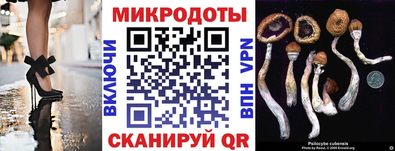 Псилоцибиновые грибы Psilocybe Купить где Учалы